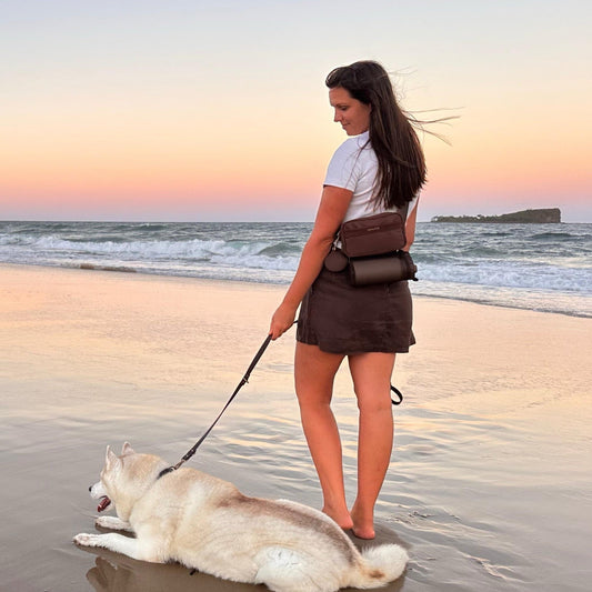 Dog Walking Bum Bag vs Crossbody: Which Is Better for Your Daily Walks?