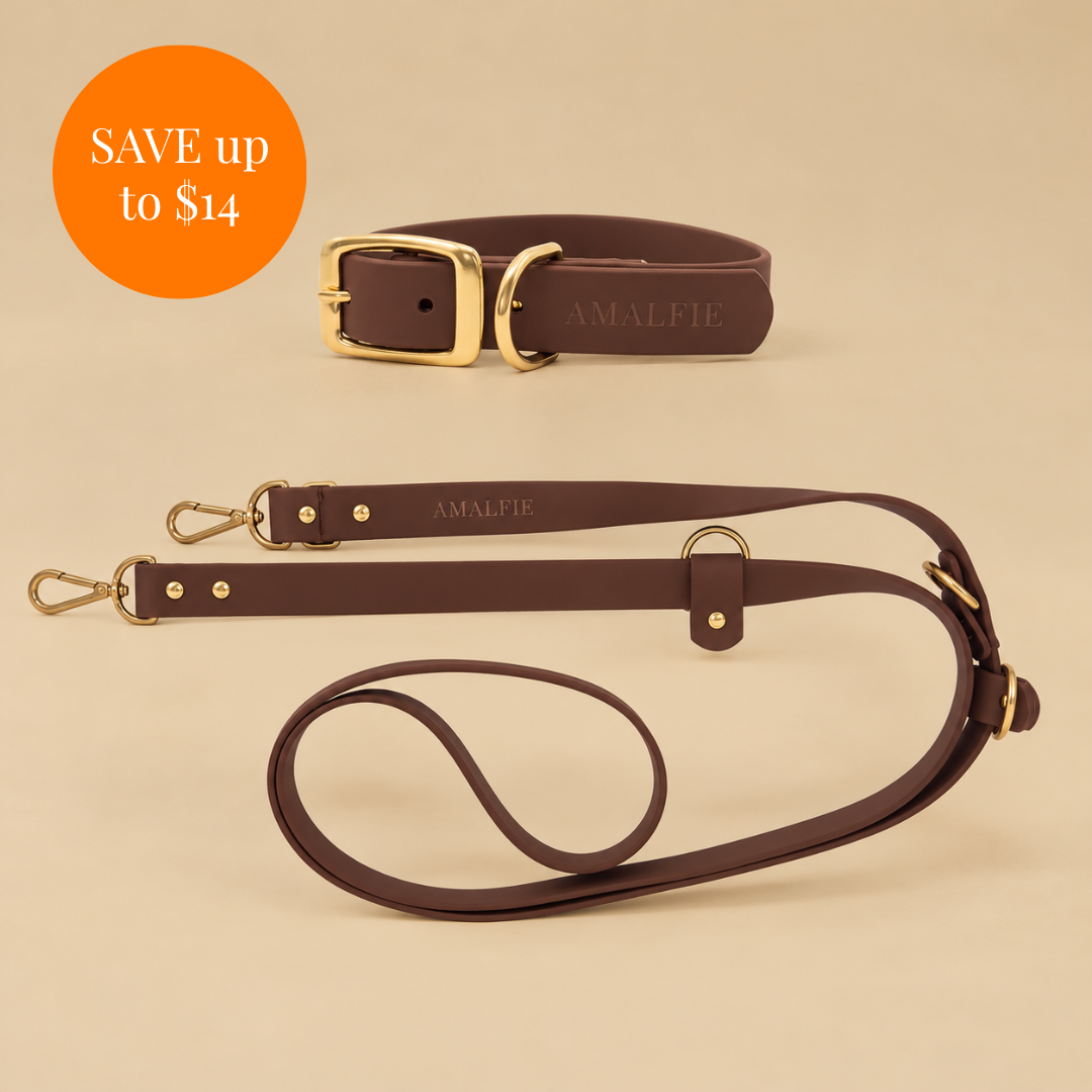 Waterproof Dog Collar & Leash Set - Espresso Brown