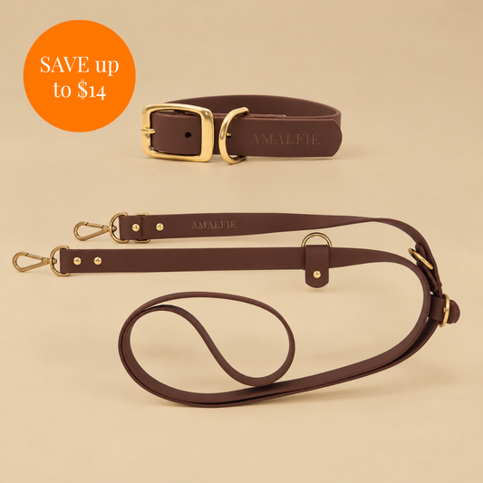 Waterproof Dog Collar & Leash Set - Espresso Brown
