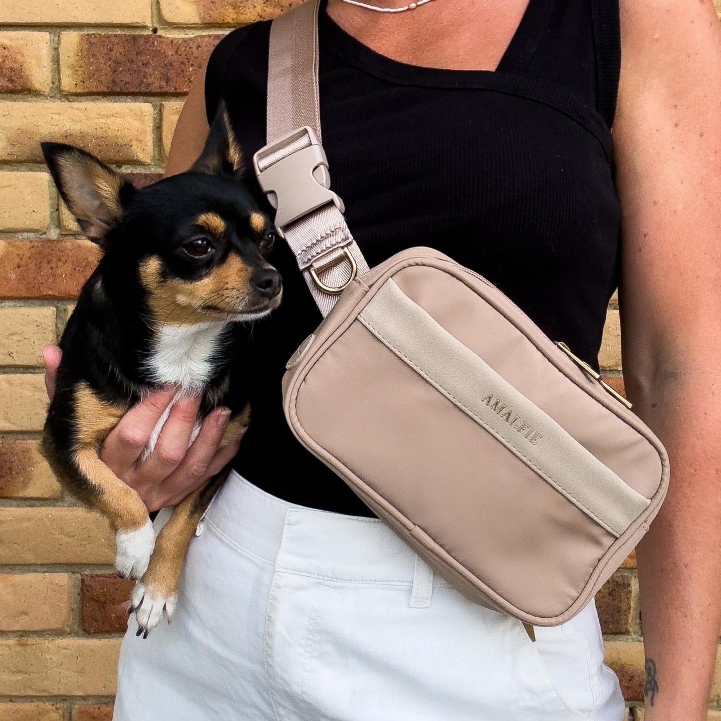 Dog Walking Bag - Coastal Beige