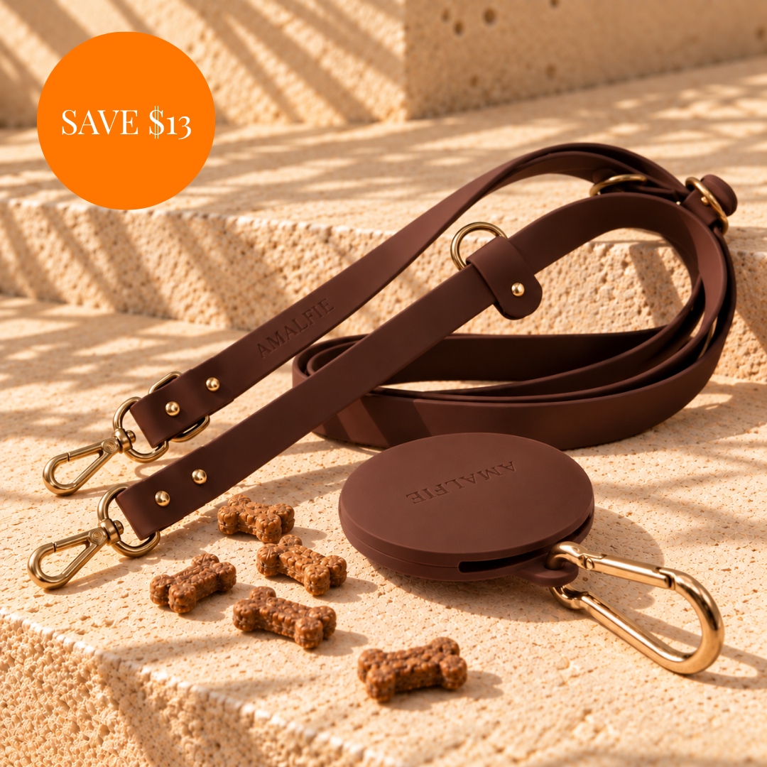 Waterproof Dog Leash & Treat Pouch Set