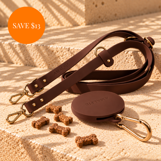Waterproof Dog Leash & Treat Pouch Set