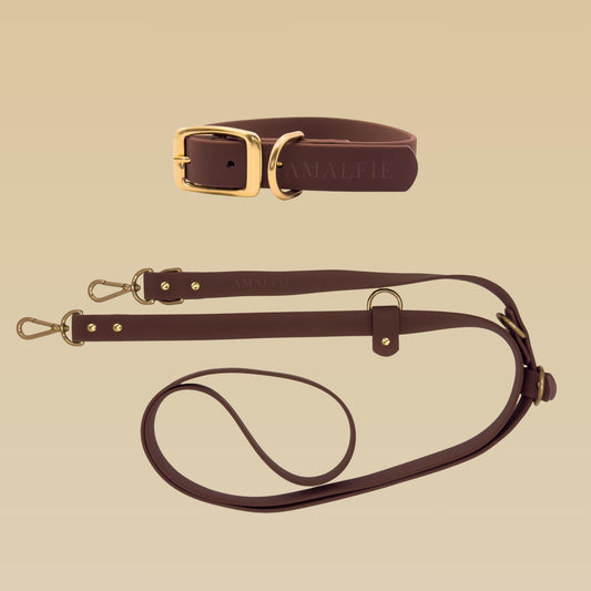 Waterproof Dog Collar & Leash Set - Espresso Brown