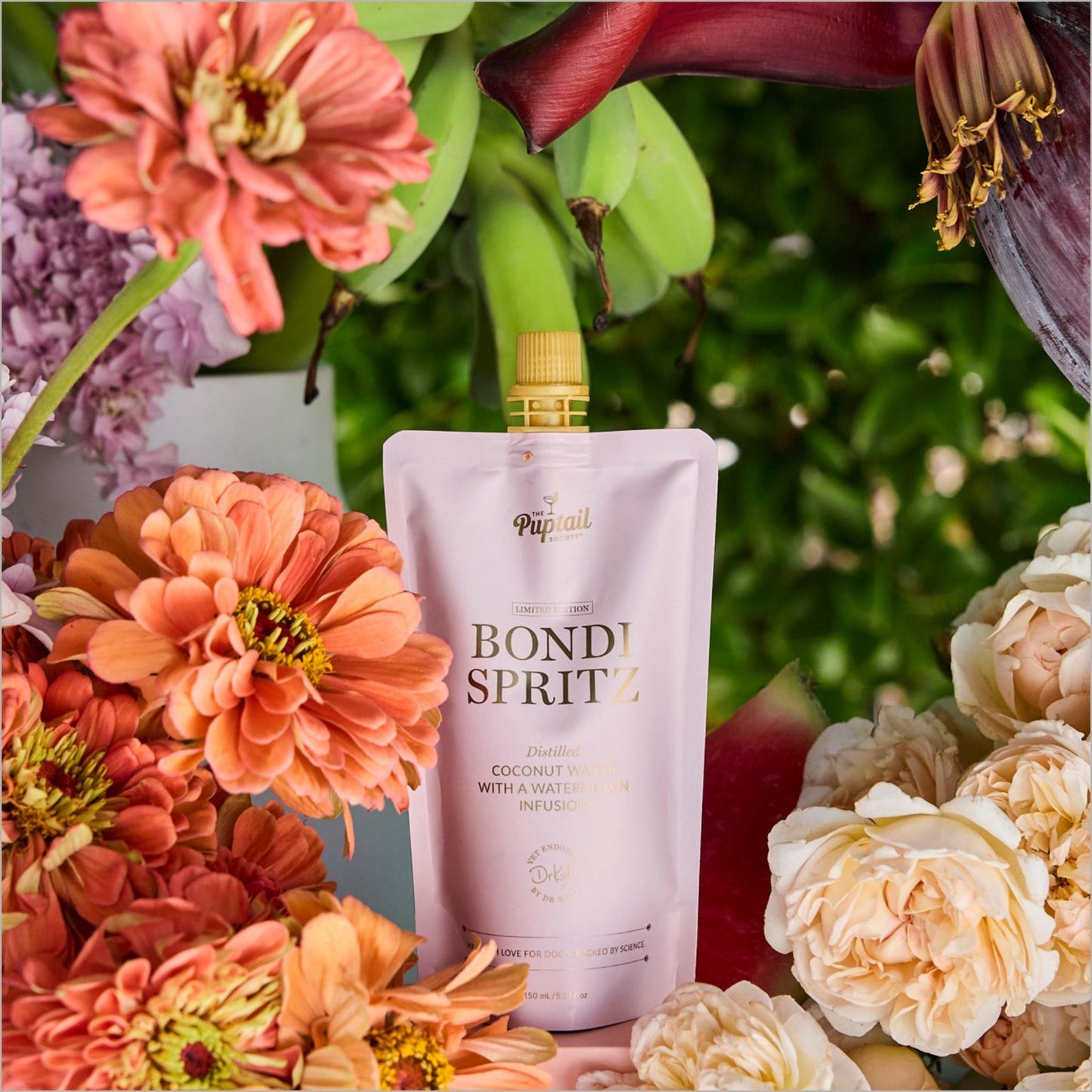 Bondi Spritz: Dr Kate Limited Edition