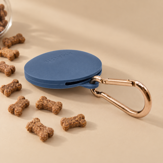 Silicone Dog Treat Pouch - Positano Blue