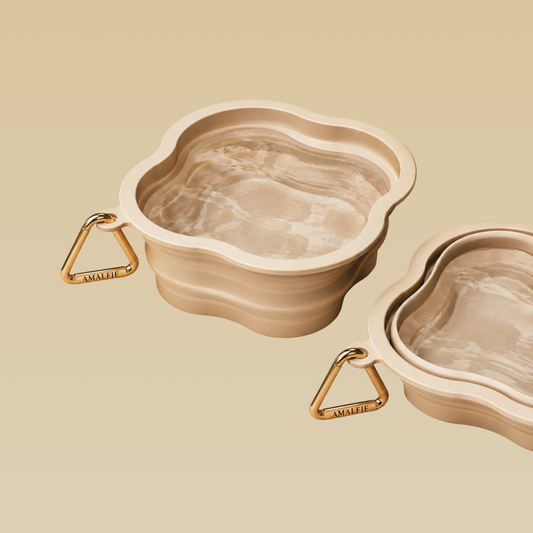 Collapsible Dog Bowl