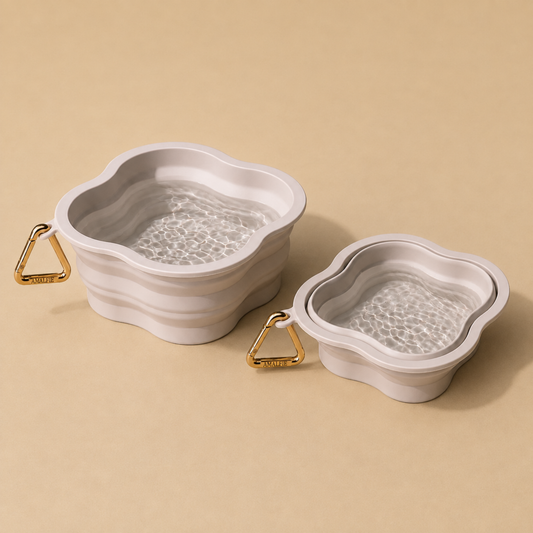 Collapsible Dog Bowl