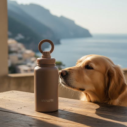 24oz Stainless Steel Water Bottle with Magnetic Phone Holder - Mocha Brown