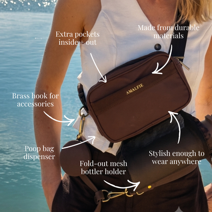 Dog Owner Gift - The Ultimate Walking Set - Espresso Brown