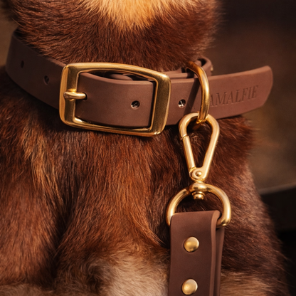 Waterproof Dog Collar - Espresso Brown