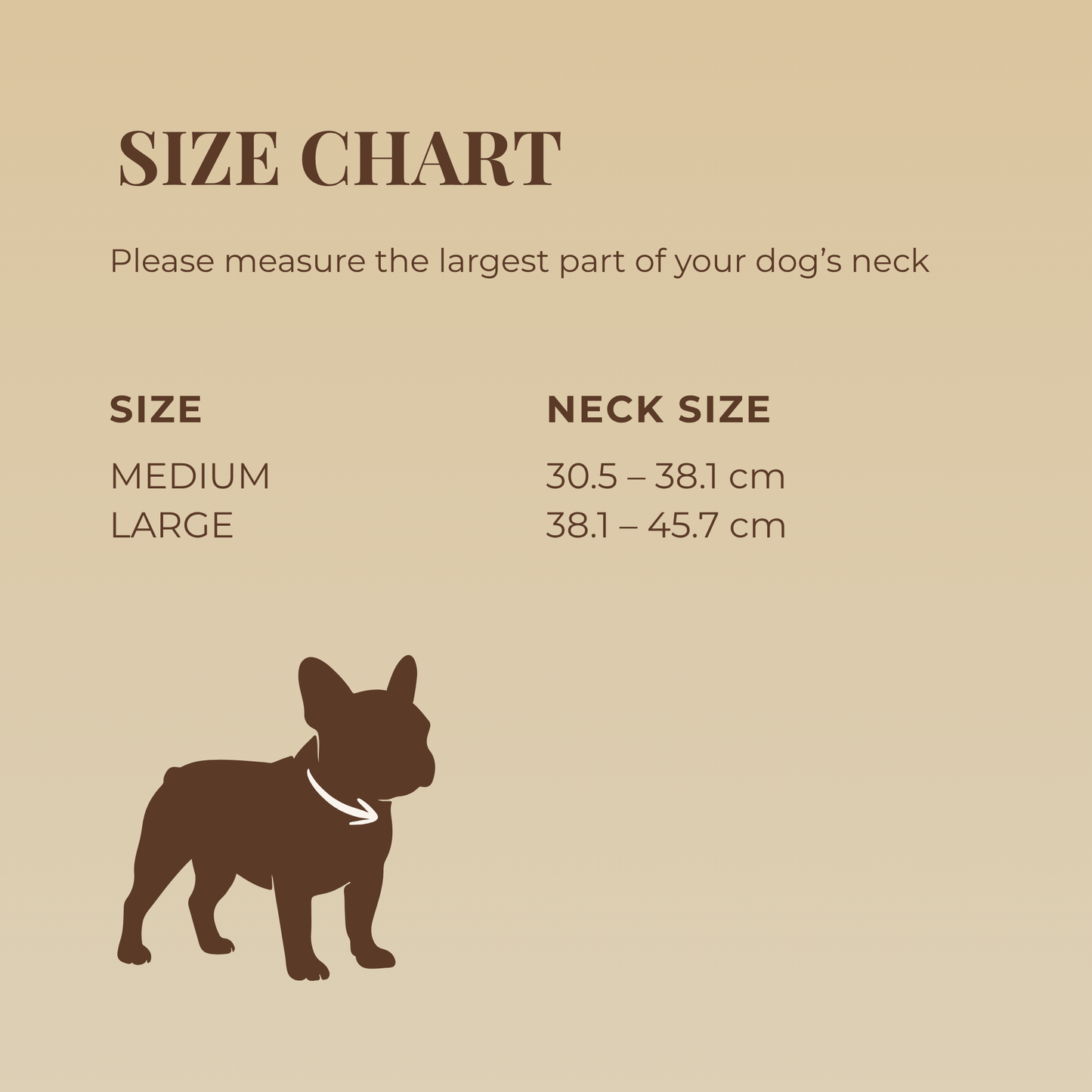 Waterproof Dog Collar & Leash Set - Espresso Brown