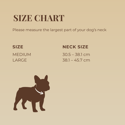 Waterproof Dog Collar & Leash Set - Espresso Brown