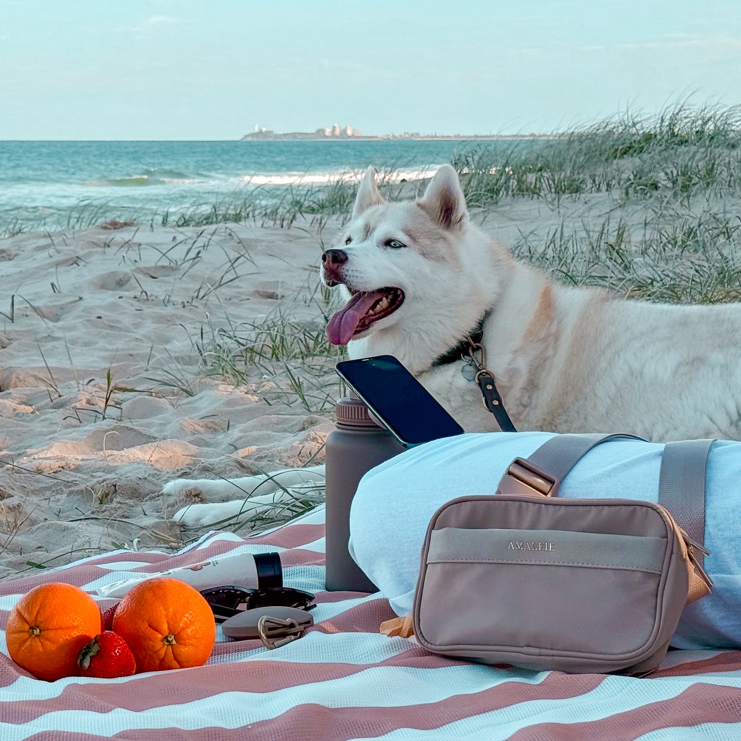 Dog Walking Hydration Set - Coastal Beige