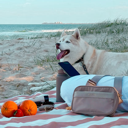 Dog Walking Hydration Set - Coastal Beige